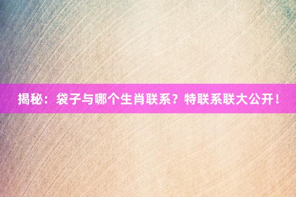 揭秘：袋子与哪个生肖联系？特联系联大公开！
